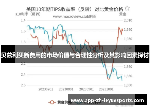 贝兹利买断费用的市场价值与合理性分析及其影响因素探讨