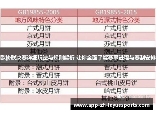 欧协联决赛详细玩法与规则解析 让你全面了解赛事进程与赛制安排