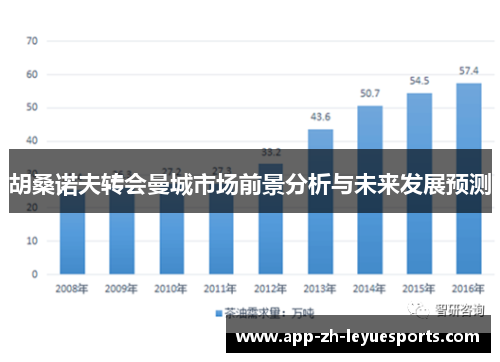 胡桑诺夫转会曼城市场前景分析与未来发展预测