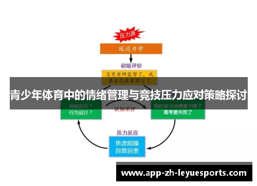 青少年体育中的情绪管理与竞技压力应对策略探讨