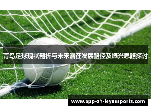 青岛足球现状剖析与未来潜在发展路径及振兴思路探讨